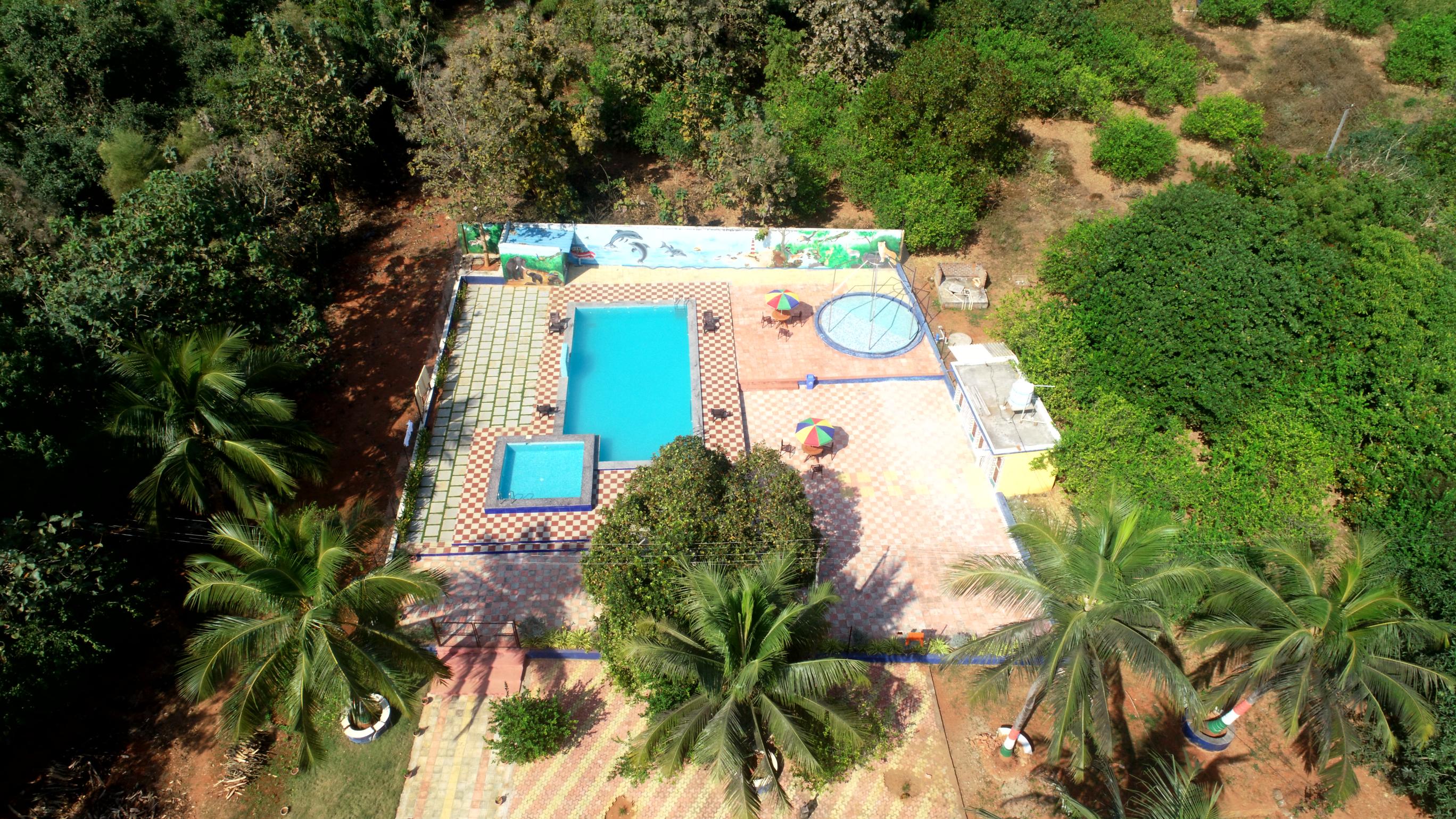 Resort pool surrounded by forest